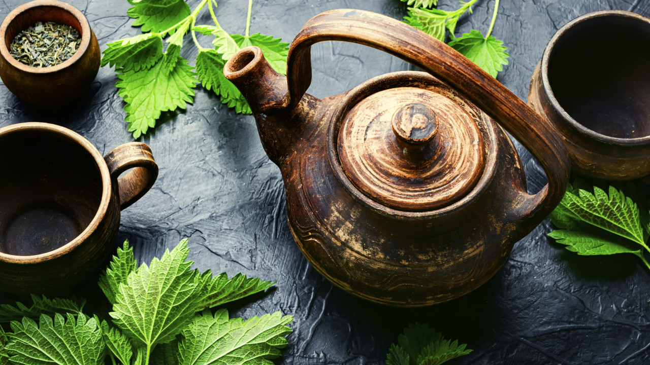 Herbata z pokrzywy - właściwości i działanie