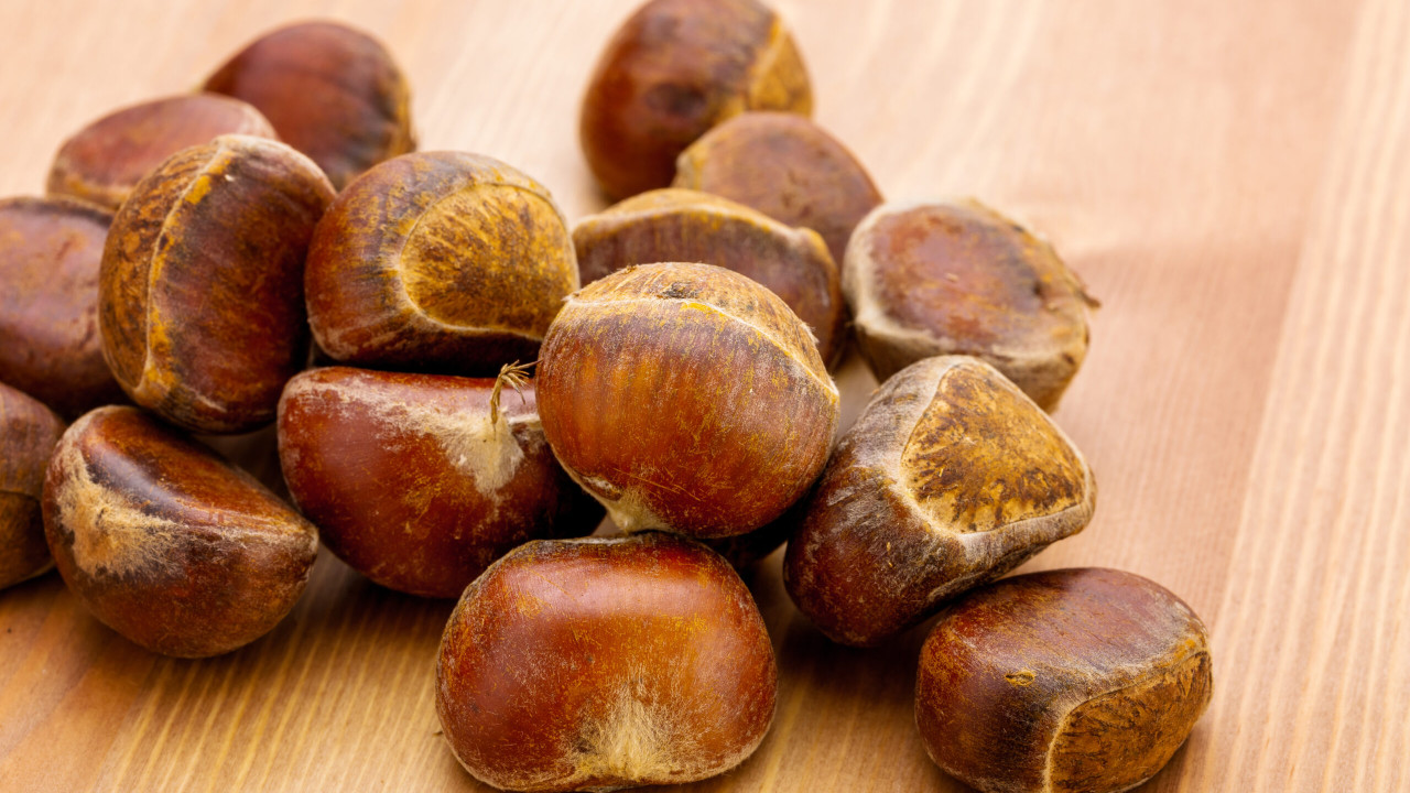 Kasztanowiec zwyczajny - właściwości i zastosowanie