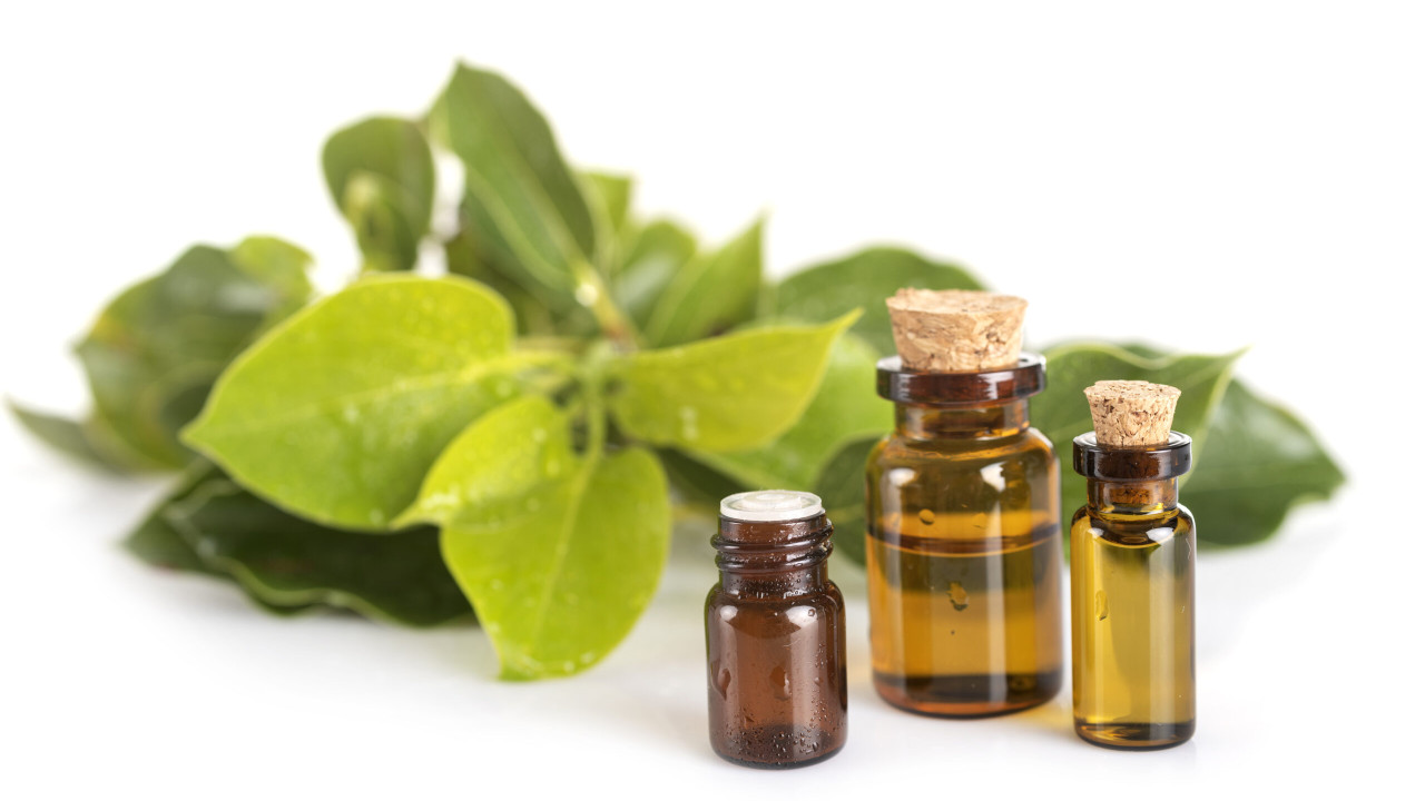 Olej kamforowy: jak i na co go stosować?