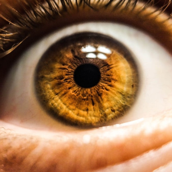 Czym są soczewki kontaktowe plano?