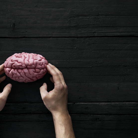 Mózg człowieka - funkcje i budowa naszego biokomputera