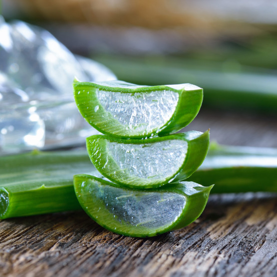 Aloes w pielęgnacji skóry – dlaczego warto go stosować?