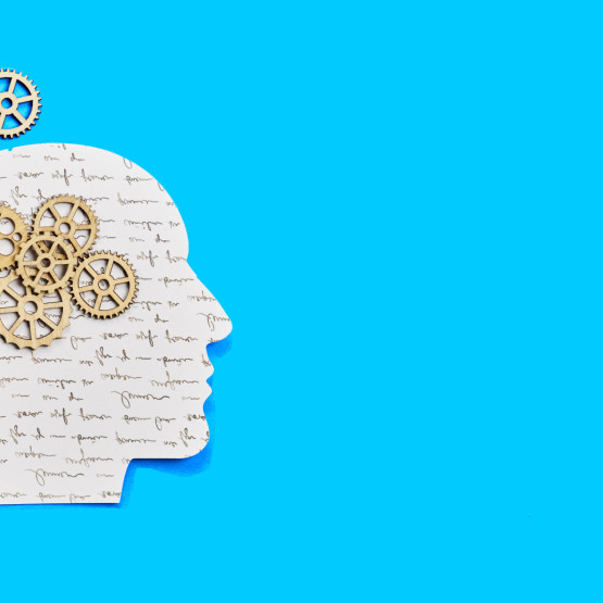 Przysadka mózgowa - co to jest i jak funkcjonuje