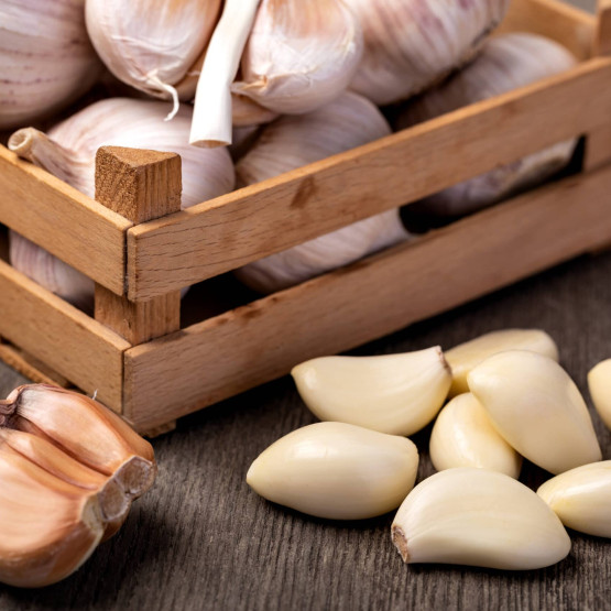 Czosnek