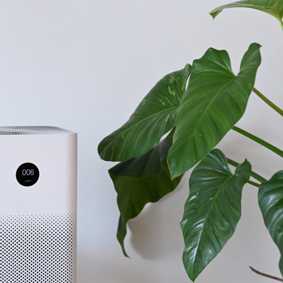 White air purifier and houseplant in living room for fresh air a