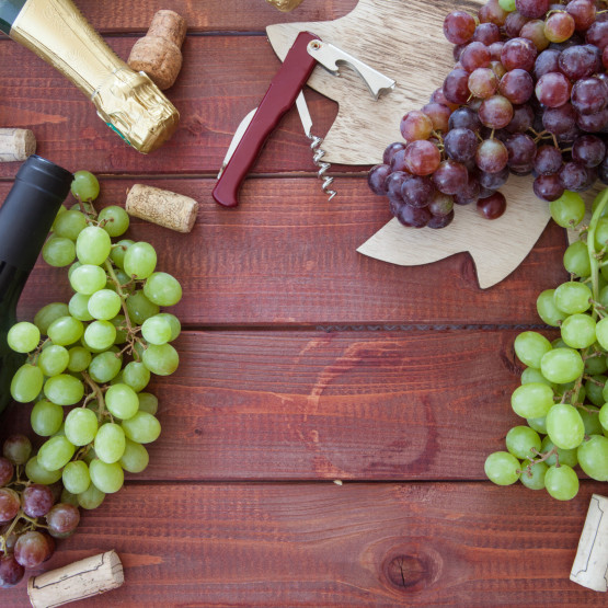 Szczepy win - poradnik dla początkującego sommeliera