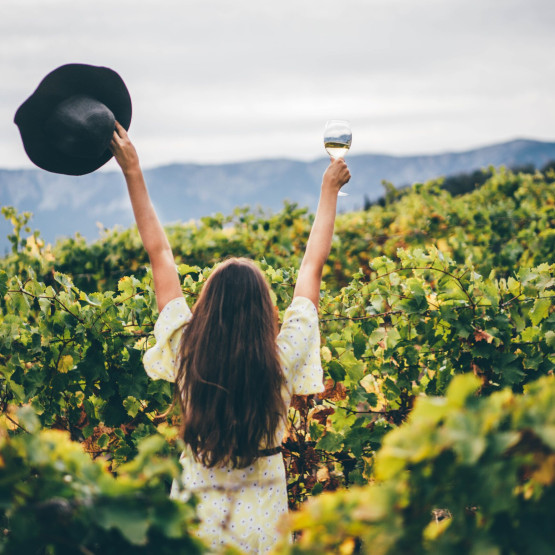 Winnice - czarodziejska podróż po najlepszych winnicach świata